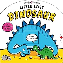 Little Lost Dinosaur (Search & Find)