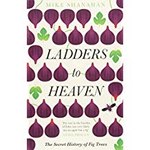 Ladders to Heaven