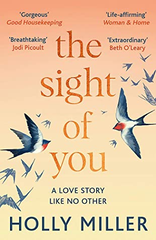 The Sight of You: A love story like no other