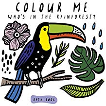 Colour Me: Who’s in the Rainforest? (Wee Gallery Bath Books)
