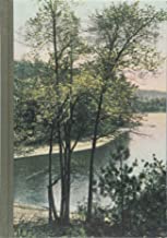 Thoreau Notebook: A blank journal Inspired by his life and writings (Notebooks)