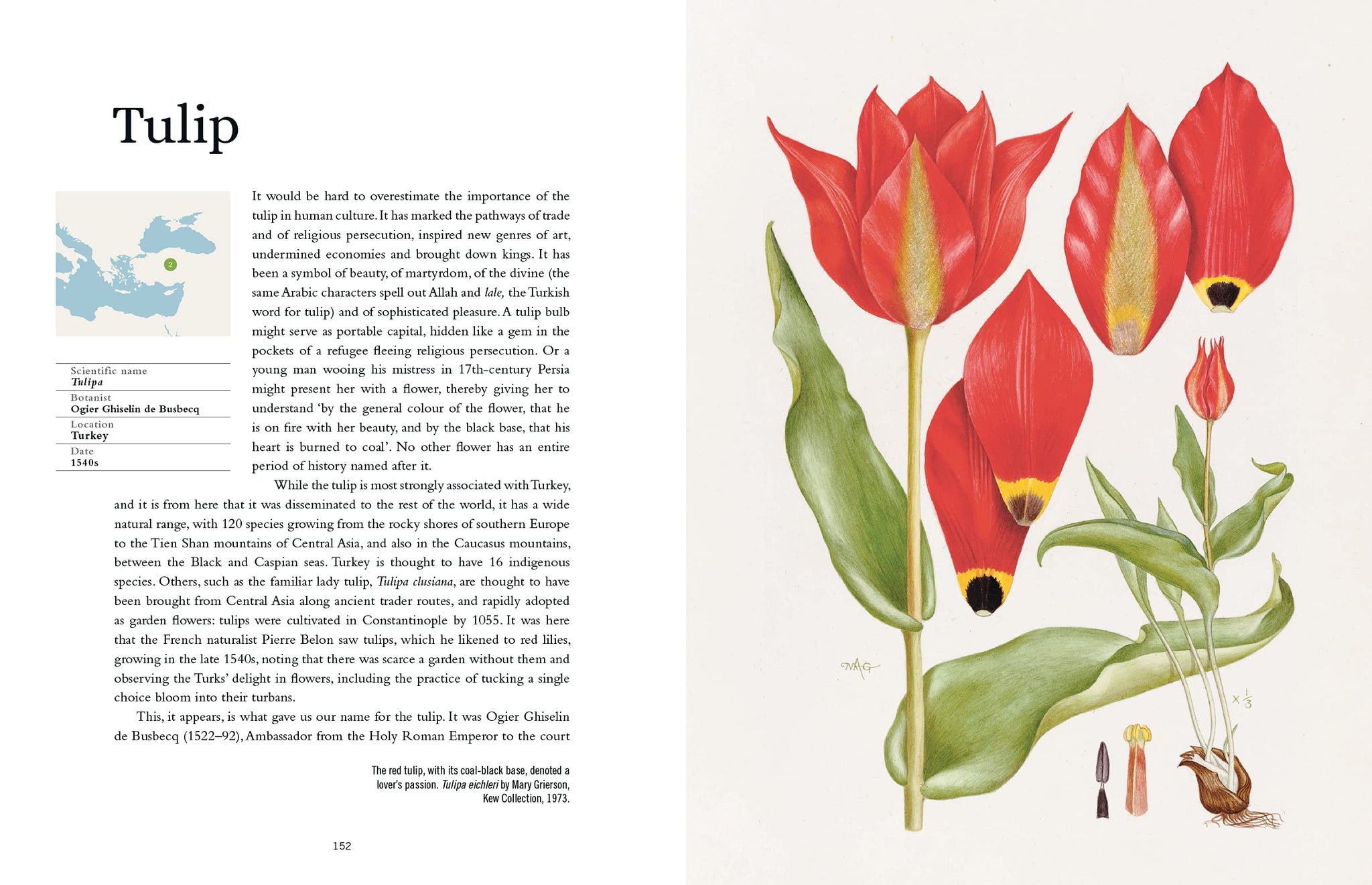 The Plant-Hunter's Atlas: A World Tour of Botanical Adventures