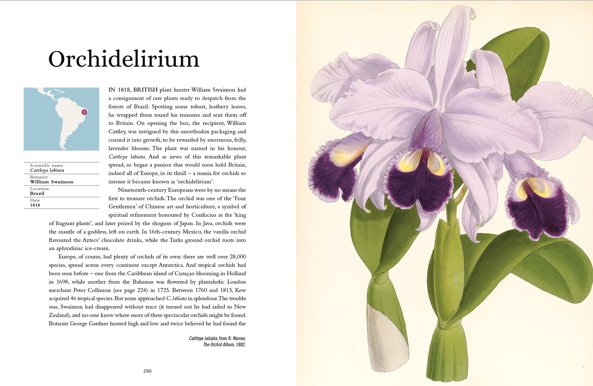 The Plant-Hunter's Atlas: A World Tour of Botanical Adventures